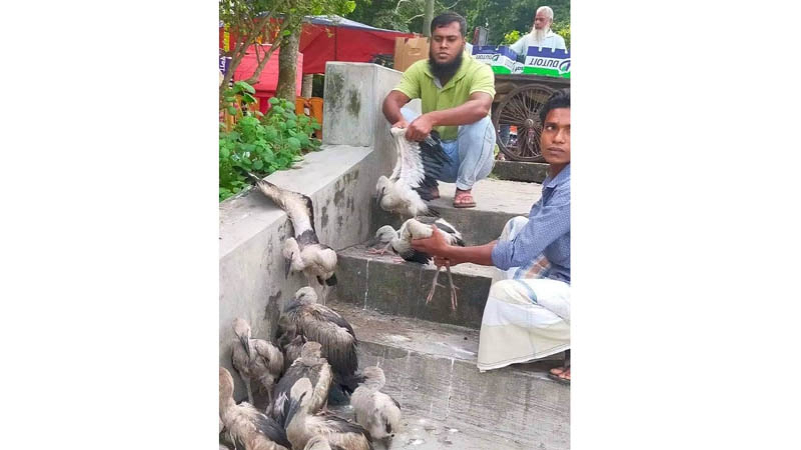বাঘায় ২০ শামুকখোল উদ্ধার, ৩ জনের কারাদণ্ড