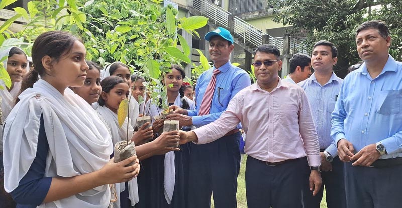 পুঠিয়ায় শিক্ষার্থীদের মাঝে চারা বিতরণ, পুকুরে মাছ অবমুক্ত