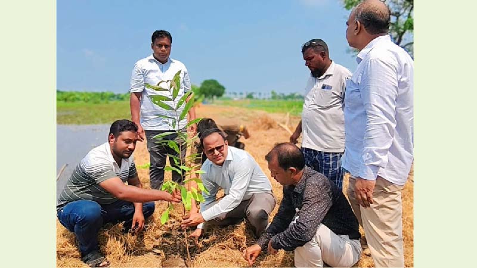 রহনপুর পৌর এলাকায় বৃক্ষরোপণ কর্মসূচি