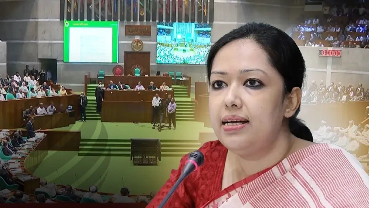 সংসদে রুমিন ফারহানা, শিশু নিখোঁজ নিয়ে উদ্বেগ