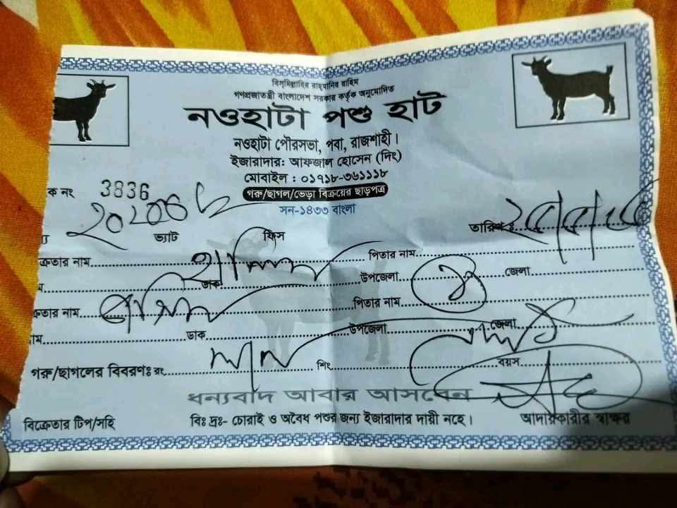 নওহাটা পশুর হাটে অতিরিক্ত ইজারা আদায়ের অভিযোগ, ক্ষোভ ক্রেতা-বিক্রেতাদের
